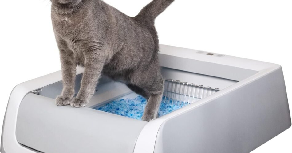adaptateur toilette chat